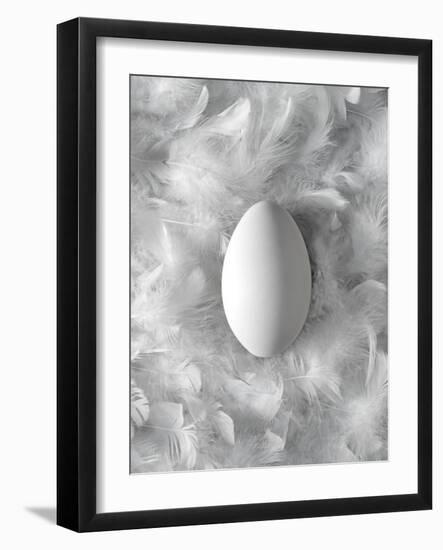 Egg on Feathers, Conceptual Image-Biddle Biddle-Framed Photographic Print