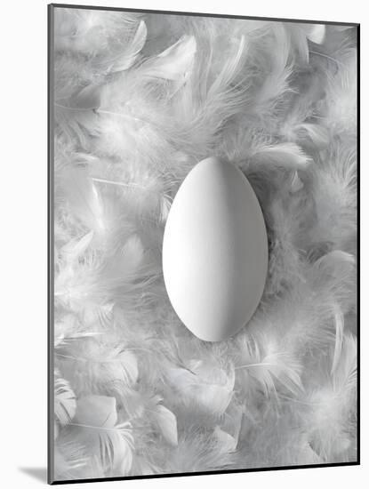 Egg on Feathers, Conceptual Image-Biddle Biddle-Mounted Photographic Print