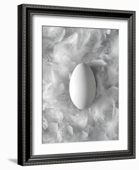 Egg on Feathers, Conceptual Image-Biddle Biddle-Framed Photographic Print