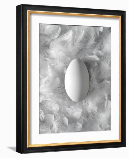 Egg on Feathers, Conceptual Image-Biddle Biddle-Framed Photographic Print