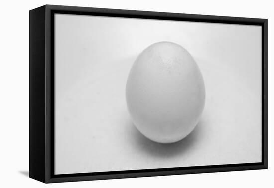 Egg-John Gusky-Framed Premier Image Canvas