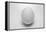 Egg-John Gusky-Framed Premier Image Canvas