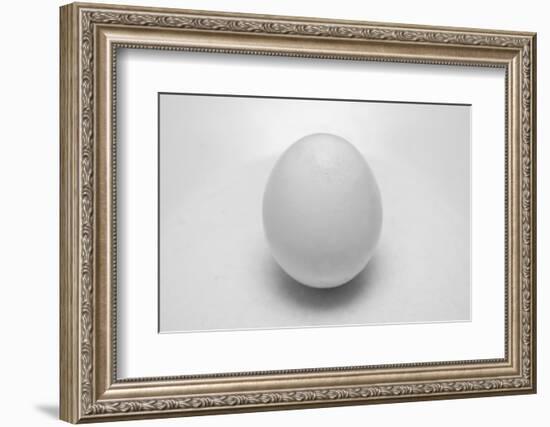 Egg-John Gusky-Framed Photographic Print