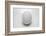 Egg-John Gusky-Framed Photographic Print