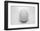 Egg-John Gusky-Framed Photographic Print