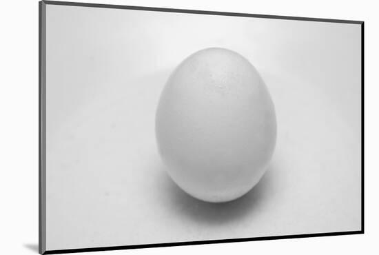 Egg-John Gusky-Mounted Photographic Print