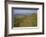 Eggardon Hill, Dorset, England, 20th century-CM Dixon-Framed Photographic Print