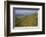 Eggardon Hill, Dorset, England, 20th century-CM Dixon-Framed Photographic Print