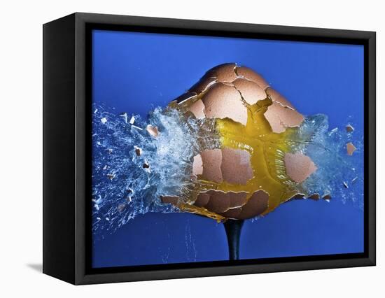 Eggceptional-Alan Sailer-Framed Premier Image Canvas