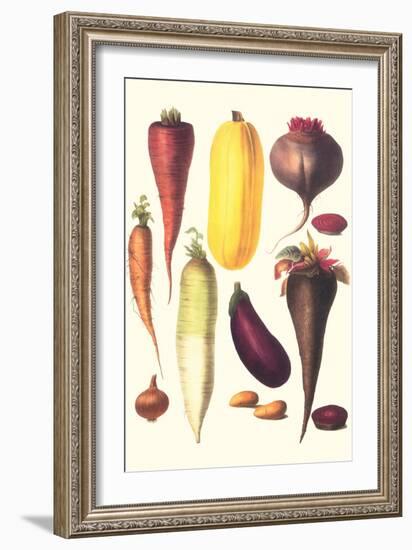 Eggplant, Nuts, and Tubers-Philippe-Victoire Leveque de Vilmorin-Framed Art Print