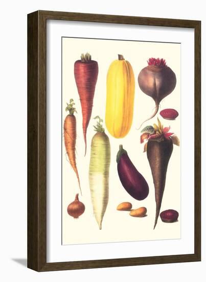 Eggplant, Nuts, and Tubers-Philippe-Victoire Leveque de Vilmorin-Framed Art Print