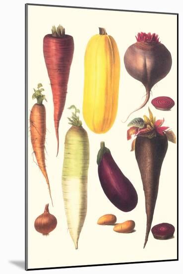 Eggplant, Nuts, and Tubers-Philippe-Victoire Leveque de Vilmorin-Mounted Art Print