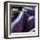 Eggplant-Stacy Bass-Framed Giclee Print