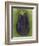 Eggplant-Jennifer Goldberger-Framed Art Print