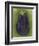 Eggplant-Jennifer Goldberger-Framed Art Print