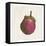 Eggplant-Sheldon Lewis-Framed Stretched Canvas