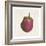 Eggplant-Sheldon Lewis-Framed Art Print