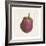 Eggplant-Sheldon Lewis-Framed Art Print