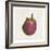 Eggplant-Sheldon Lewis-Framed Art Print