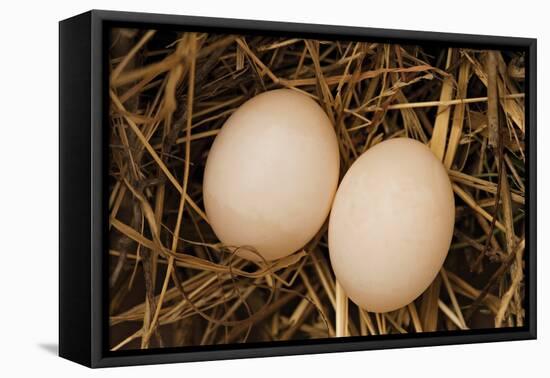 Eggs I-Karyn Millet-Framed Premier Image Canvas