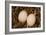 Eggs I-Karyn Millet-Framed Photographic Print