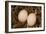 Eggs I-Karyn Millet-Framed Photographic Print