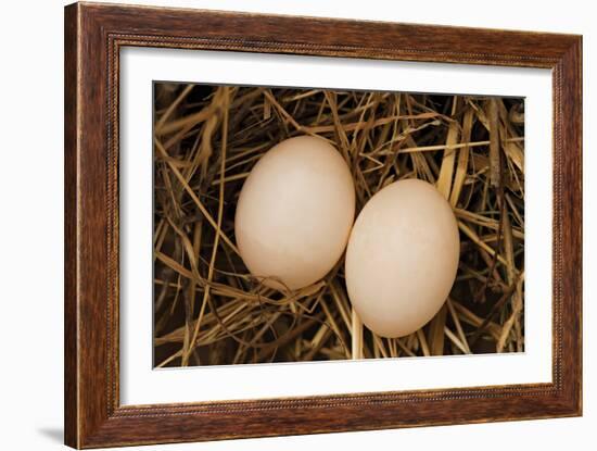 Eggs I-Karyn Millet-Framed Photographic Print