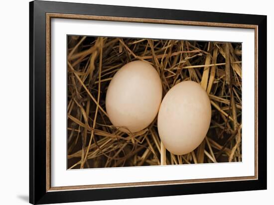 Eggs I-Karyn Millet-Framed Photographic Print