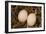 Eggs I-Karyn Millet-Framed Photographic Print