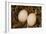 Eggs I-Karyn Millet-Framed Photographic Print