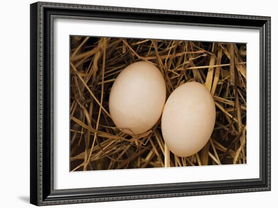 Eggs I-Karyn Millet-Framed Photographic Print