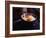 Eggs on the Gas Stove-Pam Ingalls-Framed Giclee Print