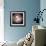 Eggs-Cristina-Framed Premium Photographic Print displayed on a wall