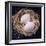 Eggs-Cristina-Framed Premium Photographic Print