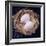 Eggs-Cristina-Framed Premium Photographic Print