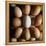 Eggs-Tek Image-Framed Premier Image Canvas