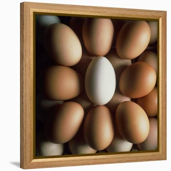 Eggs-Tek Image-Framed Premier Image Canvas