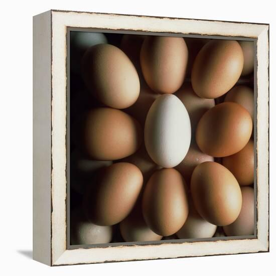 Eggs-Tek Image-Framed Premier Image Canvas