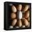 Eggs-Tek Image-Framed Premier Image Canvas