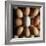 Eggs-Tek Image-Framed Premium Photographic Print