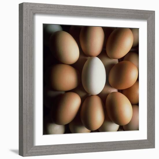 Eggs-Tek Image-Framed Premium Photographic Print