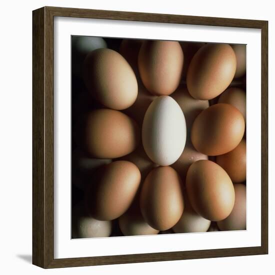 Eggs-Tek Image-Framed Premium Photographic Print