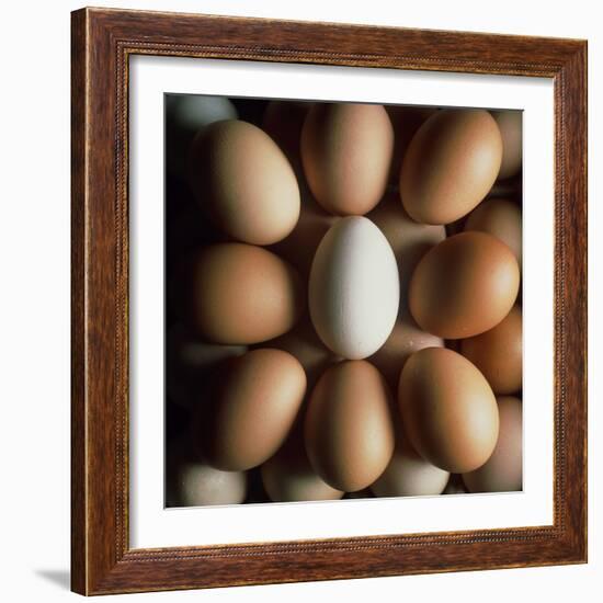 Eggs-Tek Image-Framed Premium Photographic Print