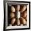 Eggs-Tek Image-Framed Premium Photographic Print