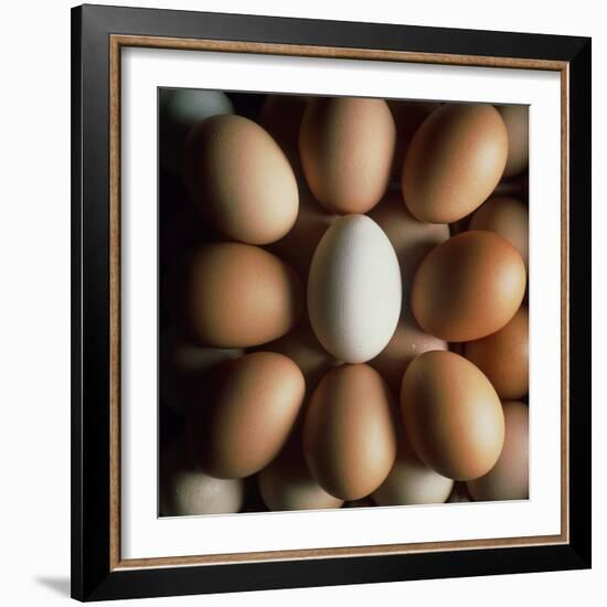 Eggs-Tek Image-Framed Premium Photographic Print