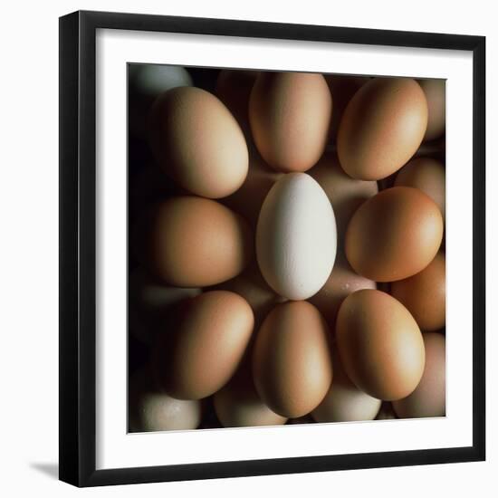 Eggs-Tek Image-Framed Premium Photographic Print