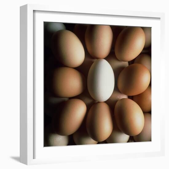 Eggs-Tek Image-Framed Premium Photographic Print