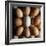 Eggs-Tek Image-Framed Premium Photographic Print