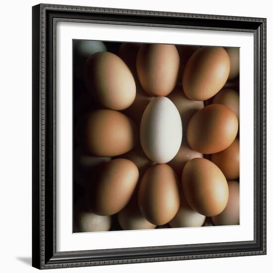 Eggs-Tek Image-Framed Premium Photographic Print