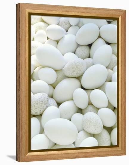 Eggs-David Munns-Framed Premier Image Canvas